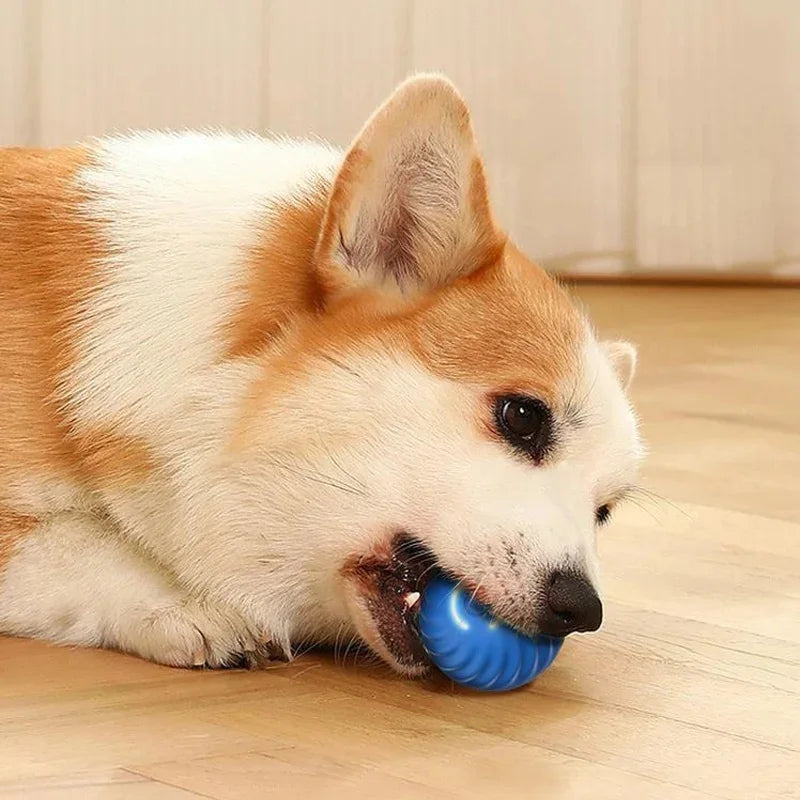 "Bola Eletrônica Interativa para Pets – Brinquedo Inteligente com Movimento Automático e Recarga USB para Cães e Gatos!"