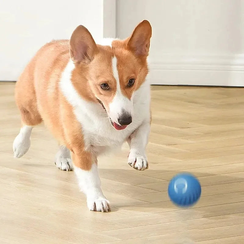 "Bola Eletrônica Interativa para Pets – Brinquedo Inteligente com Movimento Automático e Recarga USB para Cães e Gatos!"