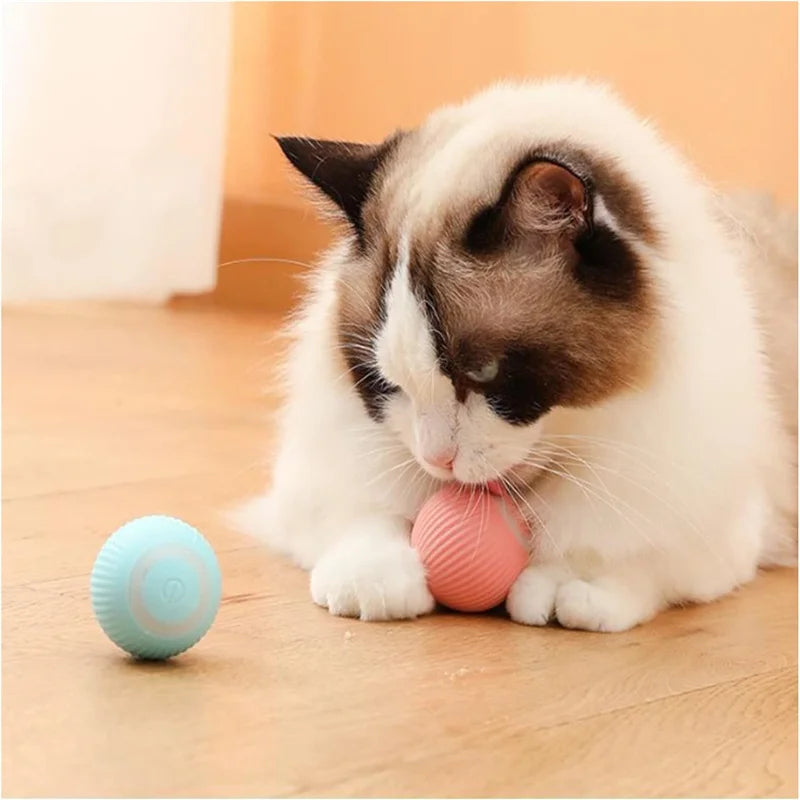 "Bola Eletrônica Interativa para Pets – Brinquedo Inteligente com Movimento Automático e Recarga USB para Cães e Gatos!"